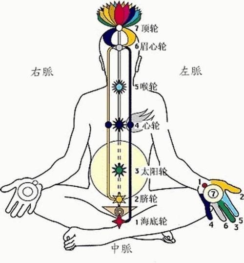 初学打坐的结印有几种各种打坐结印手势图解道家打坐时结手印图片