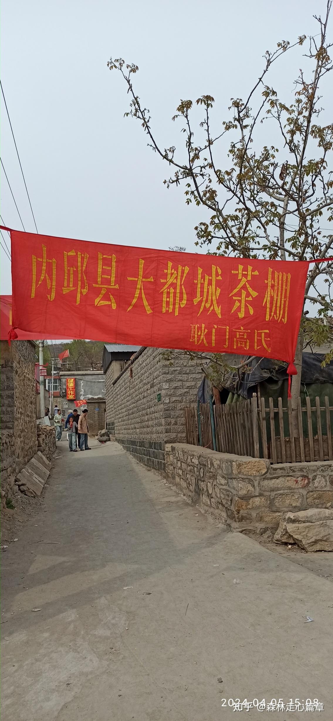 故乡篇章:扁鹊庙会掠影一三