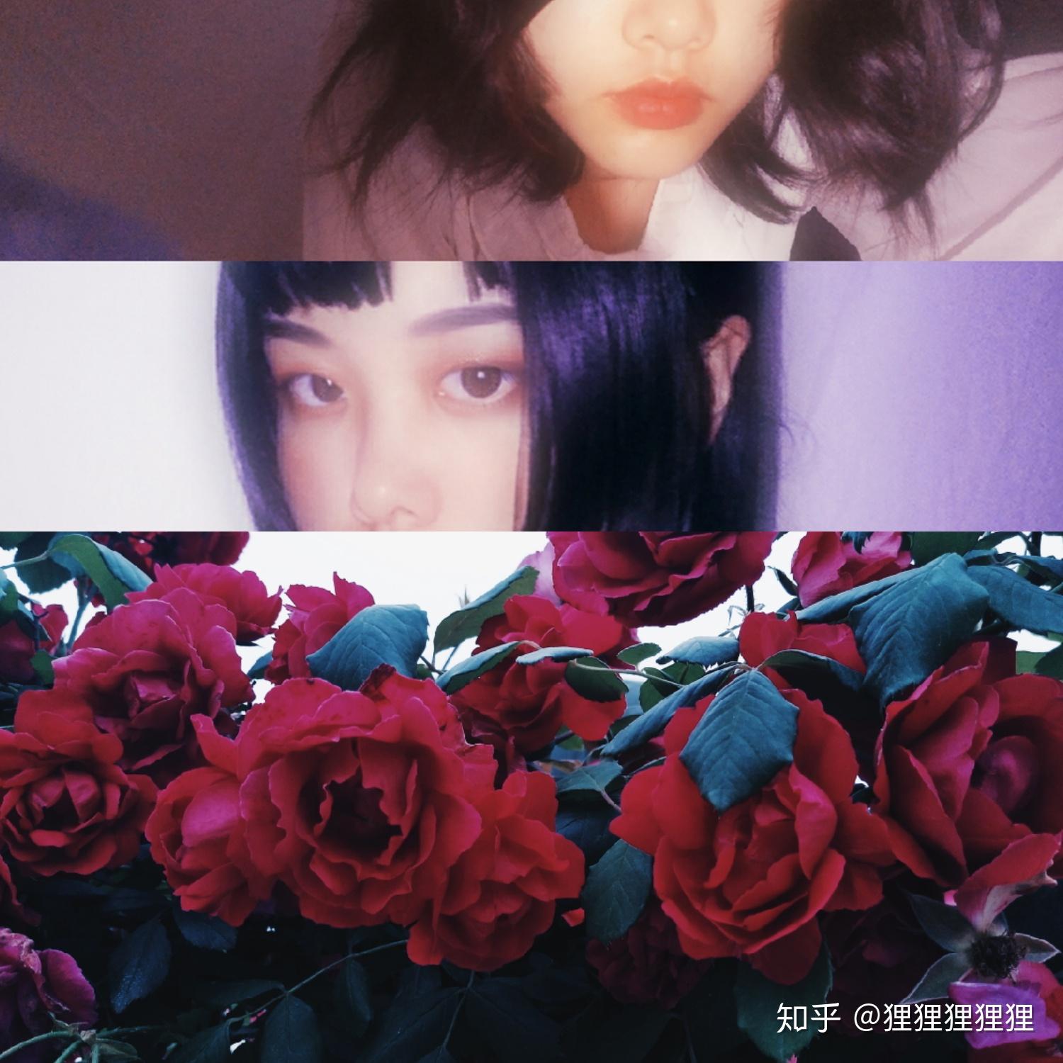 v2-1d3028c9dc616255dae44f2fa079c364_r.jpg