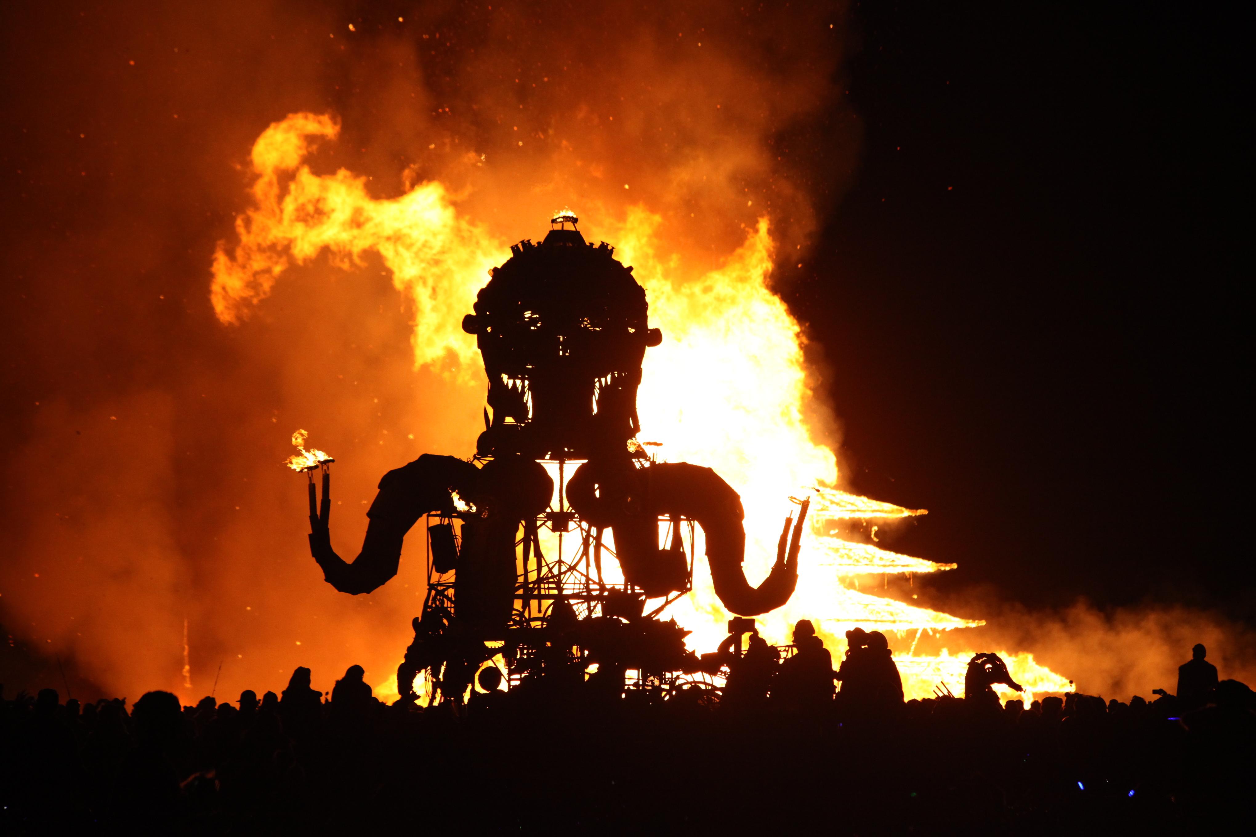 如何参加burningman