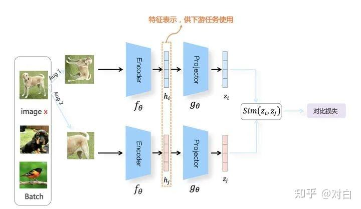 對比學習（Contrastive Learning）在CV與NLP領域中的研究進展