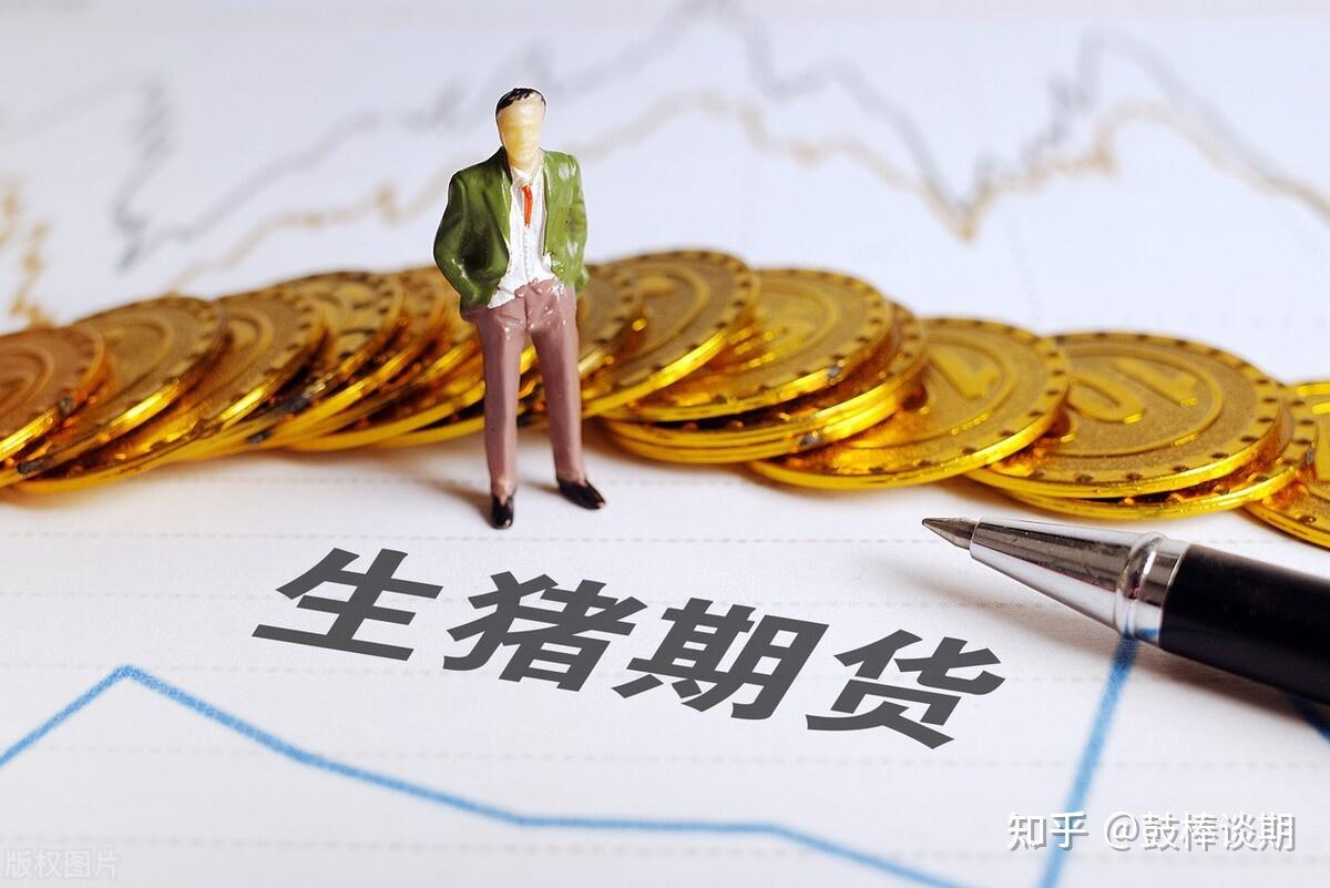 生猪期货突然大幅回调你稳住了吗