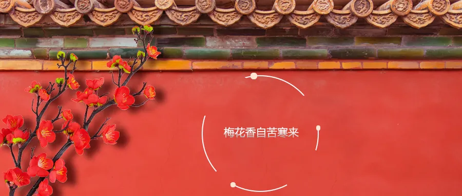 法考外传 出任兰和兰行政经理后 非法本的她一次性通过法考 知乎 法考外传 出任兰和兰行政经理后 非法本的她一次性通过法考 知乎