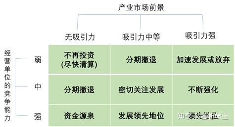 政策指导矩阵图片