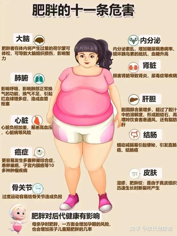 减肥难易反弹?都是因为他! - 知乎