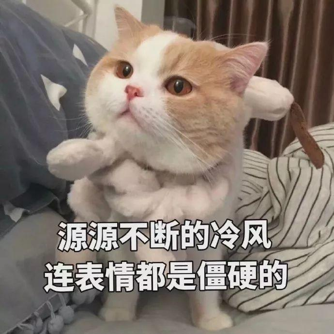 困的文案沙雕,很困的沙雕文案