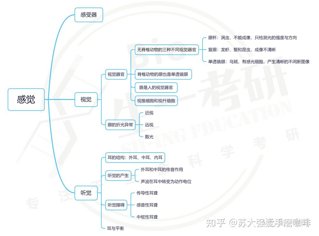 普通生物学思维导图-感觉器官与感觉