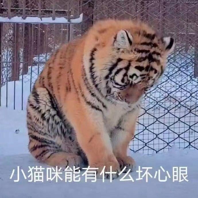 旅游文案沙雕可爱头像,旅游文案简短沙雕