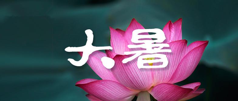 什么是解表化湿 v2-1d795e14c98f047e083a6be1d6b91e63_1440w.jpg?source=172ae18b
