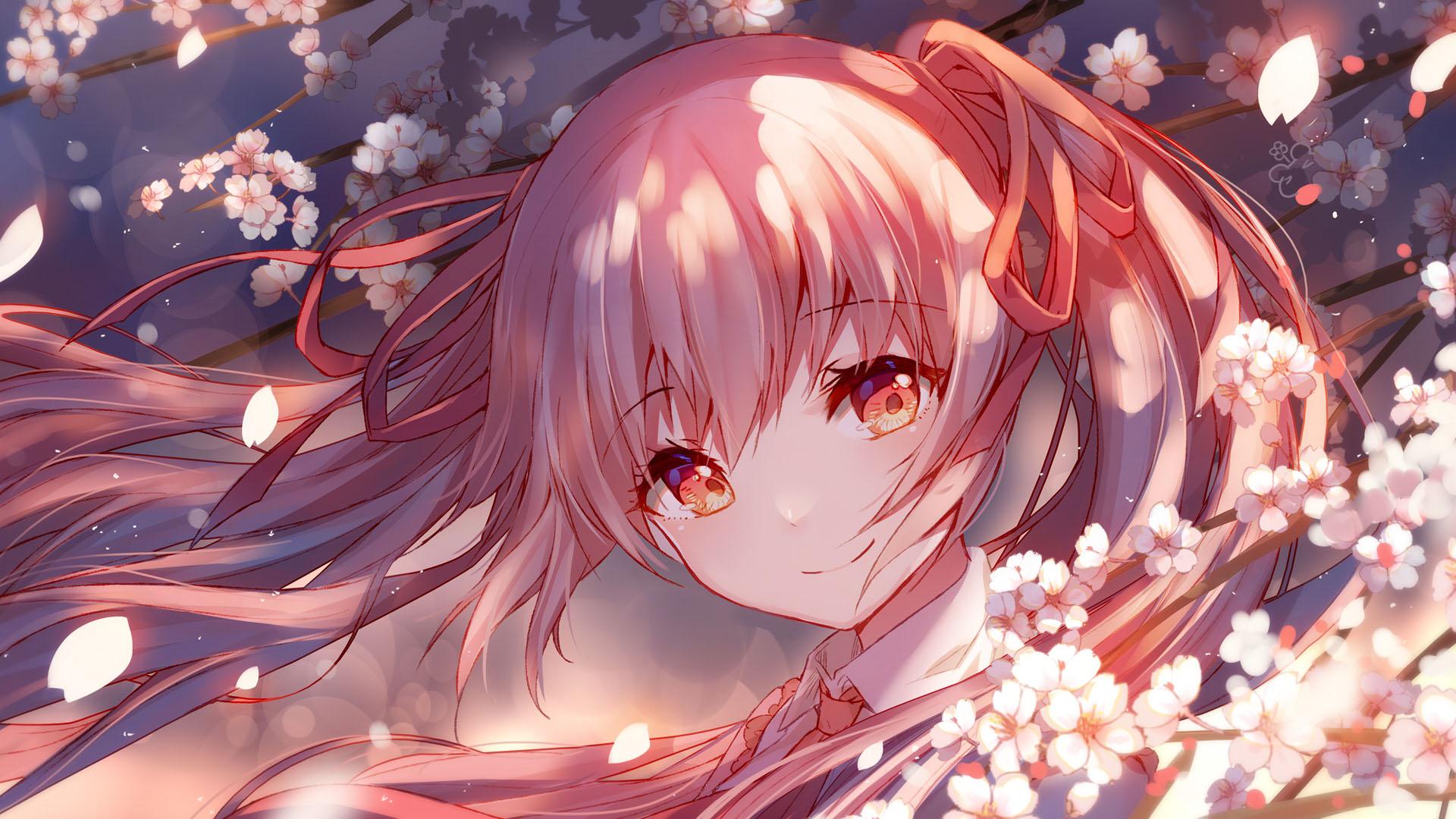Zhihu banner for @cartridge