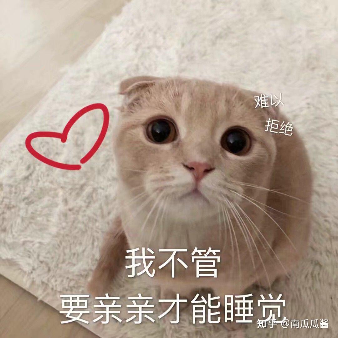 猫猫表情包好希望夏天和你一起来