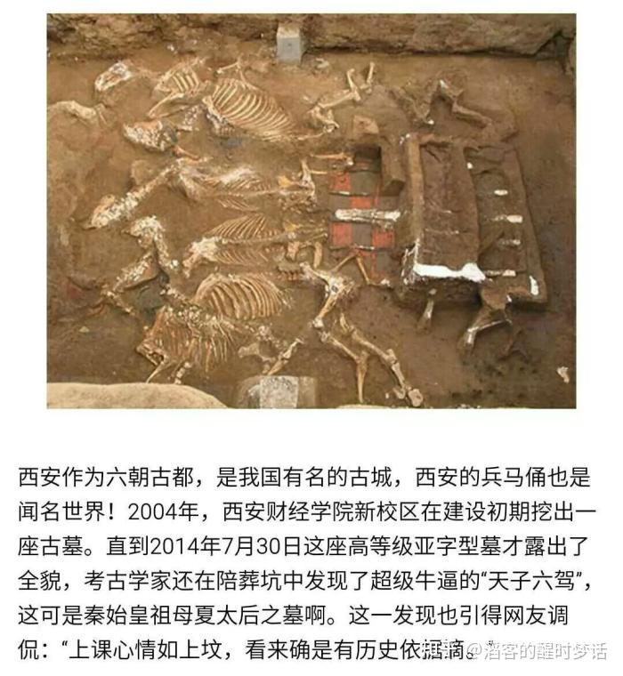 历史上谜一样的女子秦始皇的皇后