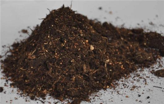 草炭土和泥炭土哪个好