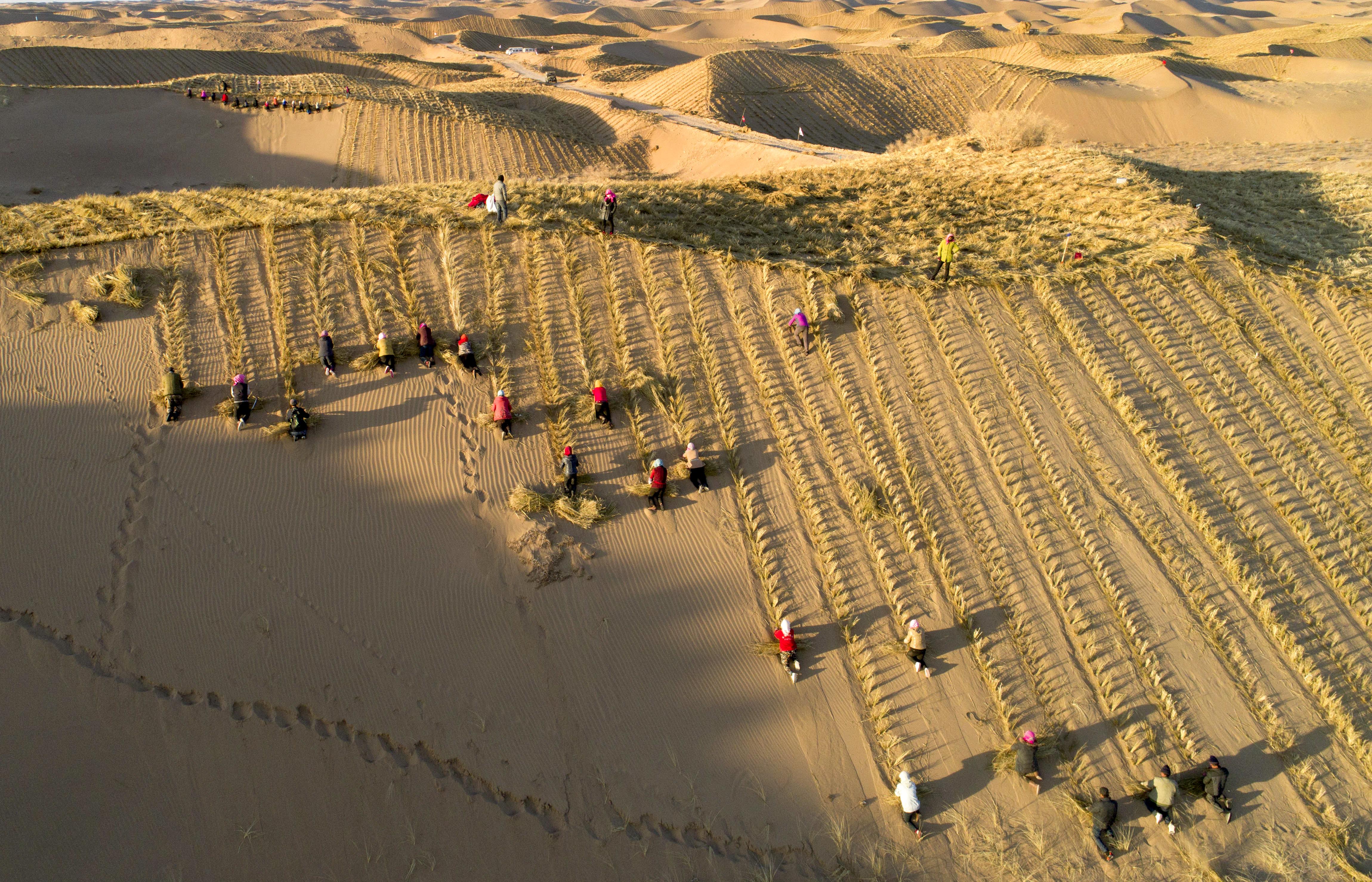 刘怀裕敢把沙漠变绿洲第一届甘肃现代摄影艺术展览优秀摄影作品