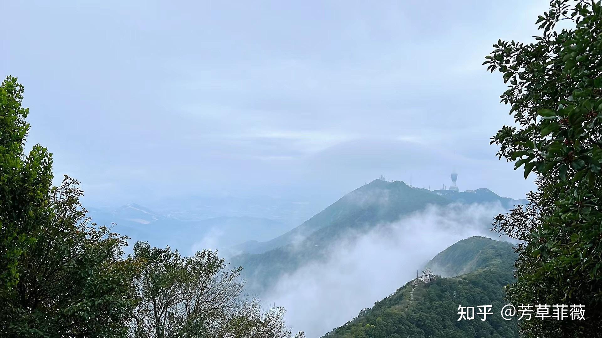 2024周末深圳好去处,深圳绿道徒步(持续更新中~) - 知乎