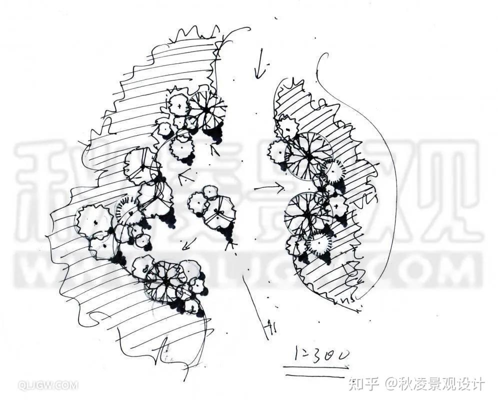 方案设计研修班 