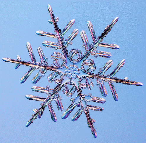 迈向雪花的大统一理论,雪花结晶理论之父提出新思路