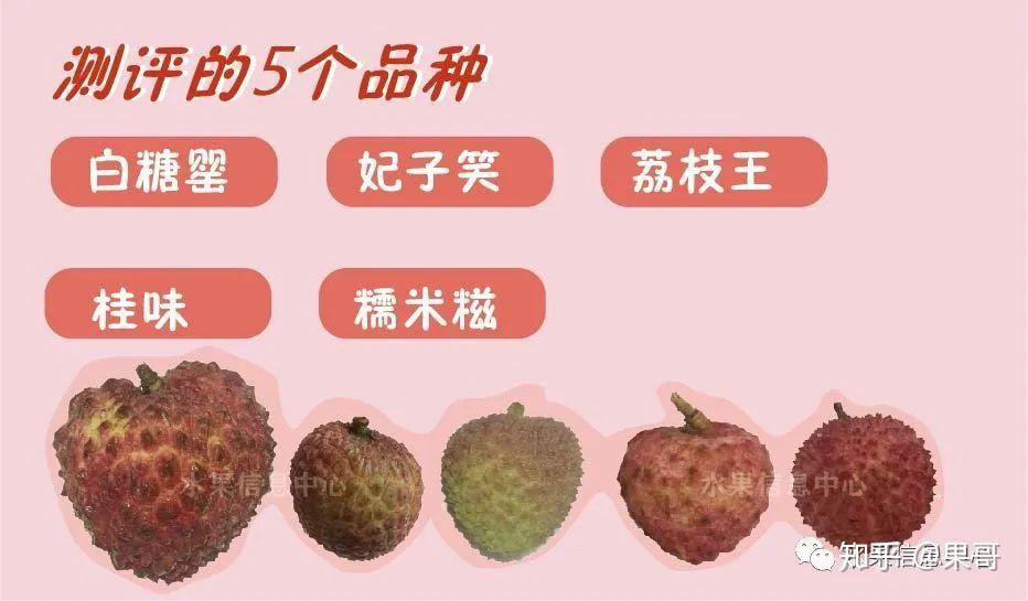 测评时下5种荔枝,谁才是你心目中的王者? - 知乎