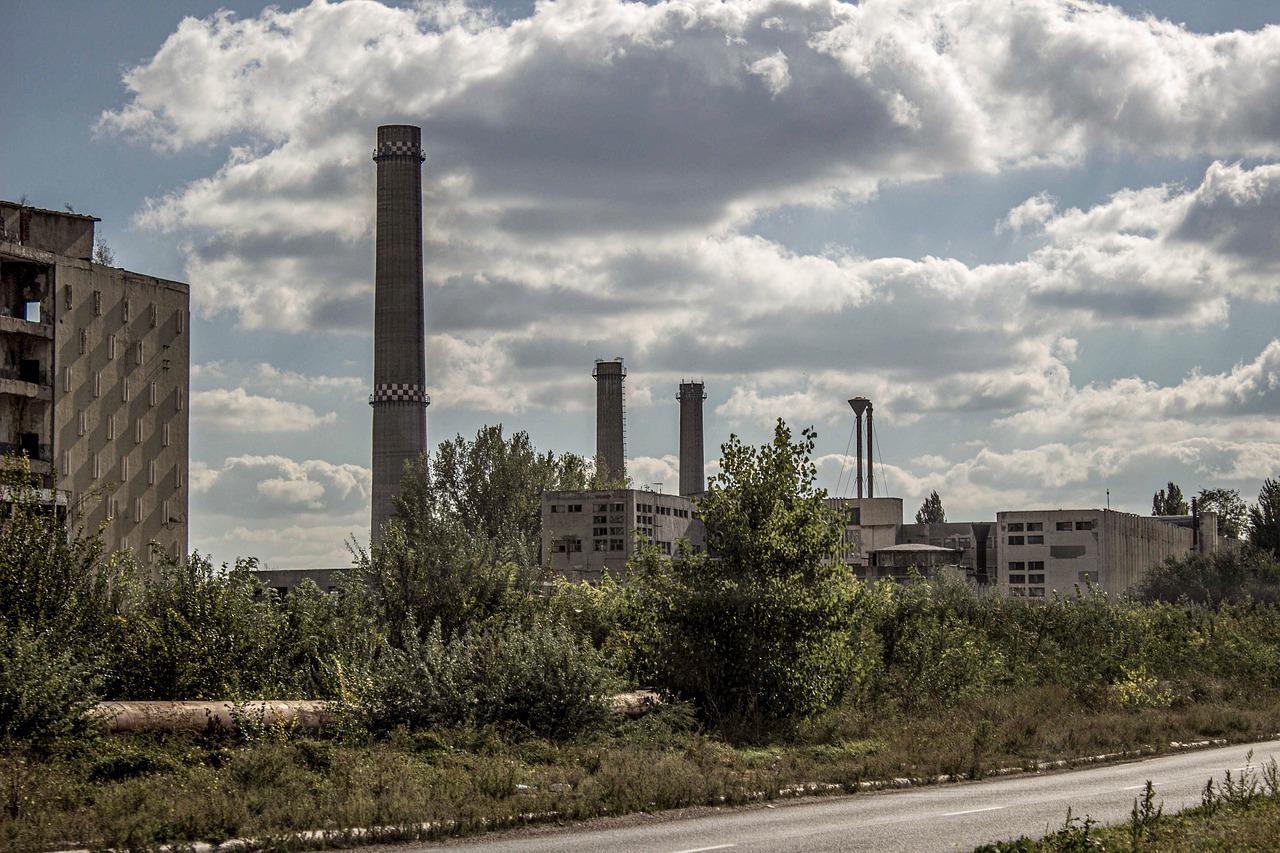 2. 市场口碑分析