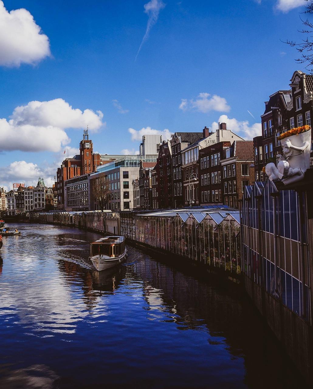 芍药花零售多少钱一支