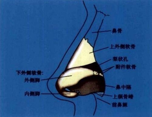 欧叔鼻整形课堂:关于鼻修复手术时间的选择! - 知乎