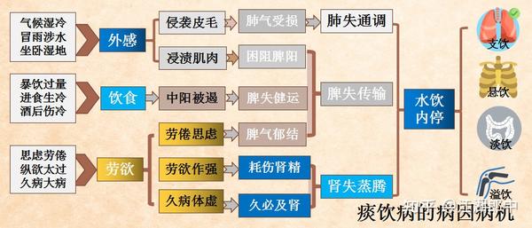 说疾解病:痰与饮 - 知乎