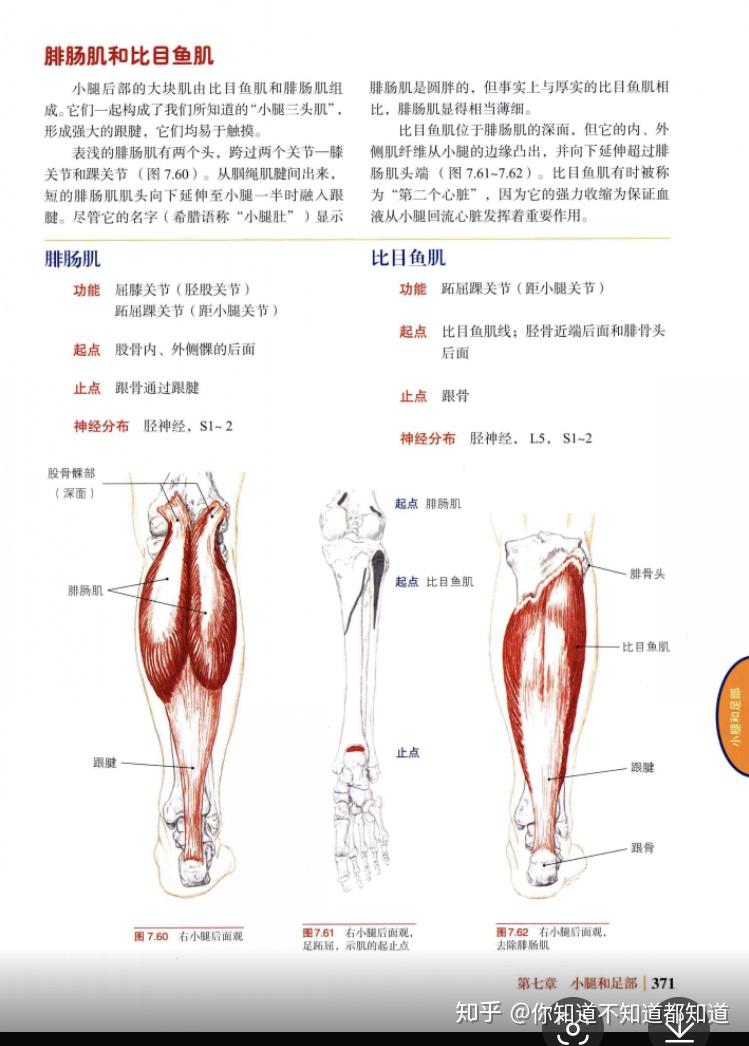 男生真的不喜欢腿粗的女生吗