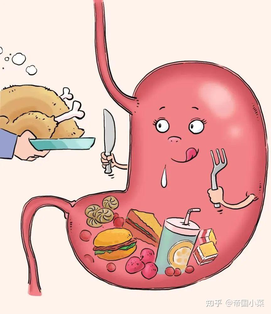 中医六腑之胃寒 - 知乎