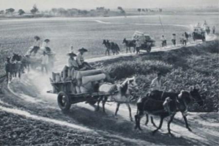 农村拉东西的马车 比家具复杂得多 是怎么造出来的 知乎