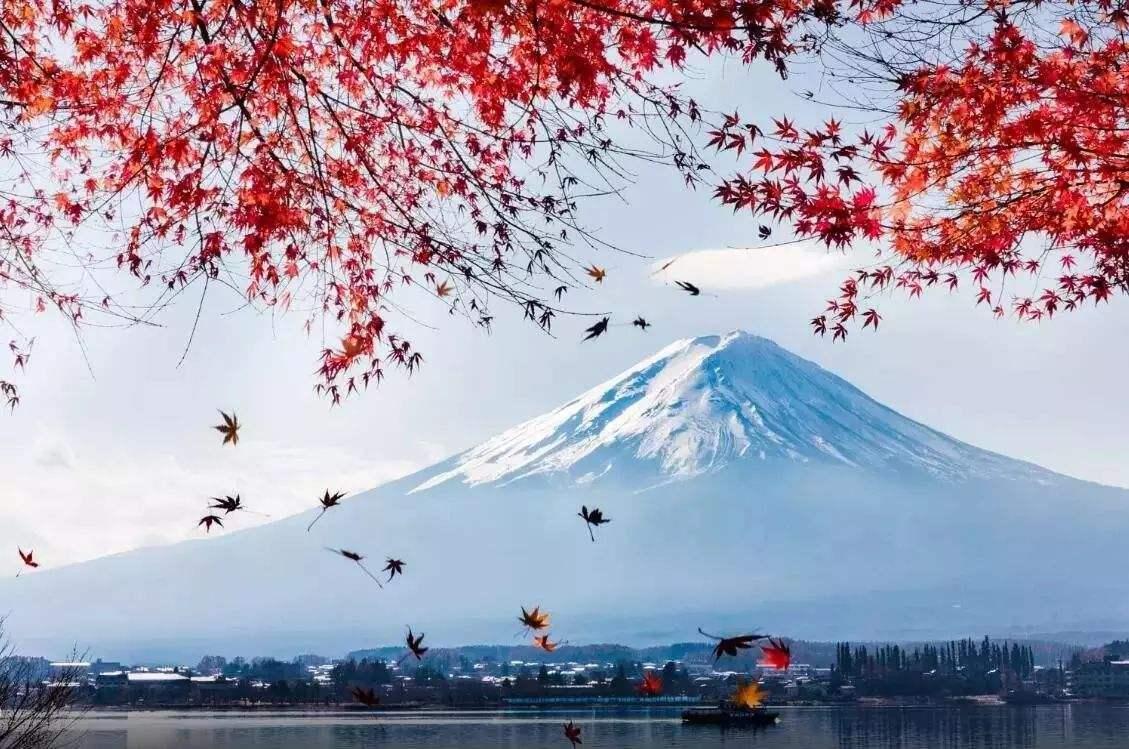 樱花季 红叶季 看我如何玩转富士山 知乎 樱花季 红叶季 看我如何玩转富士山 知乎