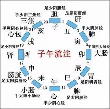 全网最全十二时辰养生说明书 收藏级干货!(结尾附口诀) - 知乎