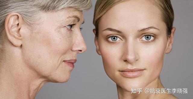 对抗衰老是什么短语