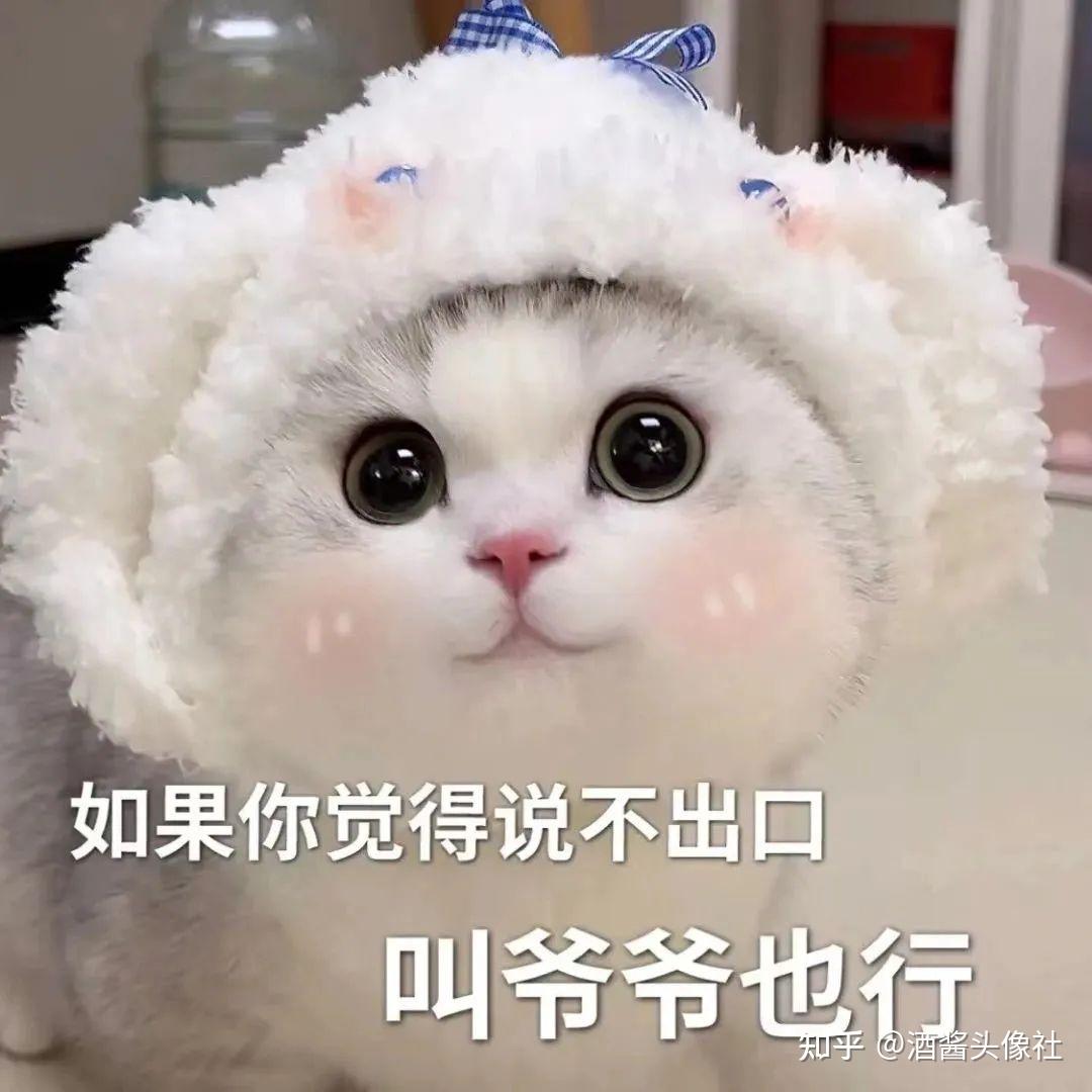 有哪些沙雕又可爱的动物表情包? - 知乎