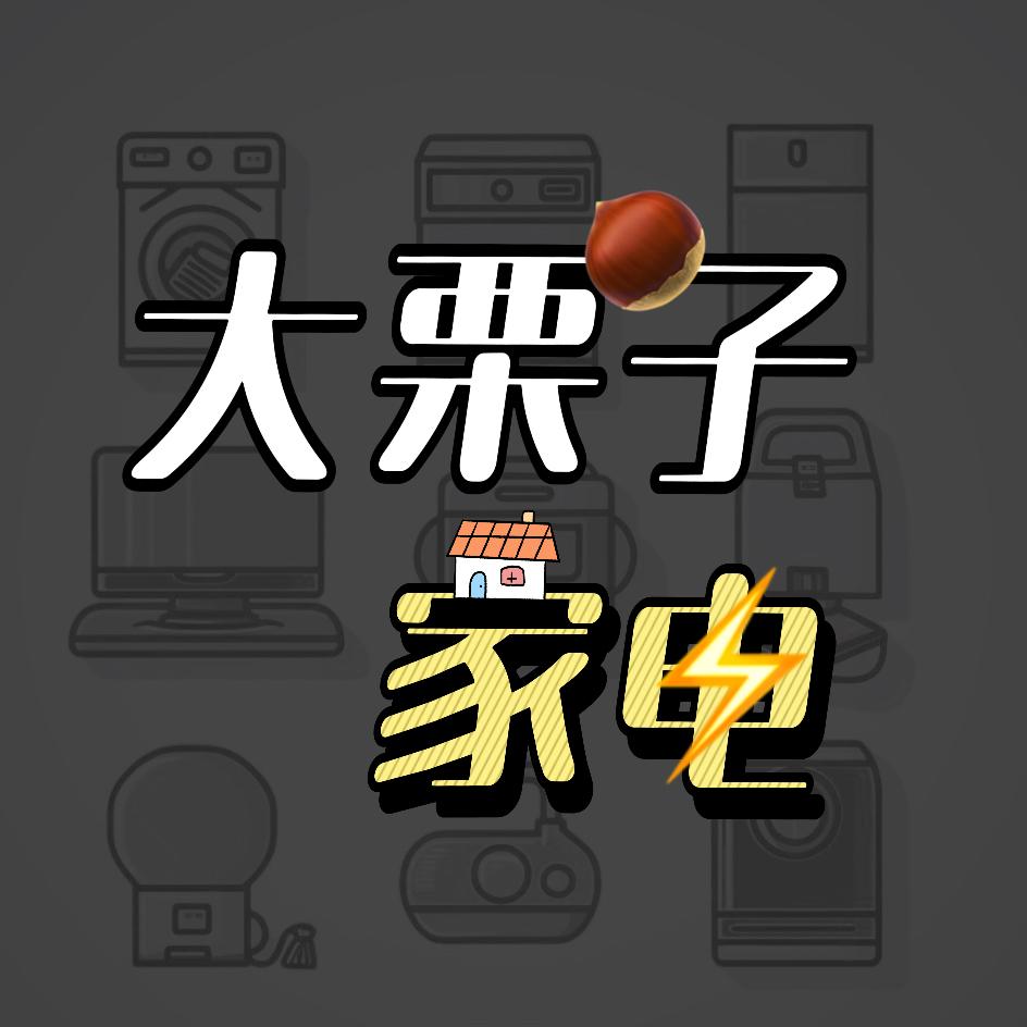 家电大栗子