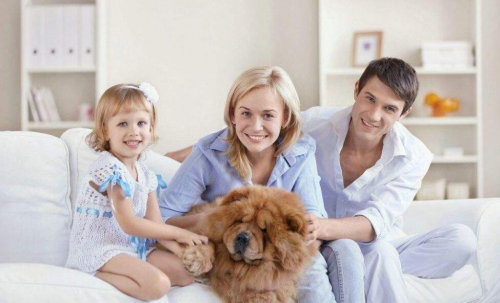 自己怎样清除甲醛 v2-1e3dac006d677dd053aeefcedb9fb56c_r.jpg