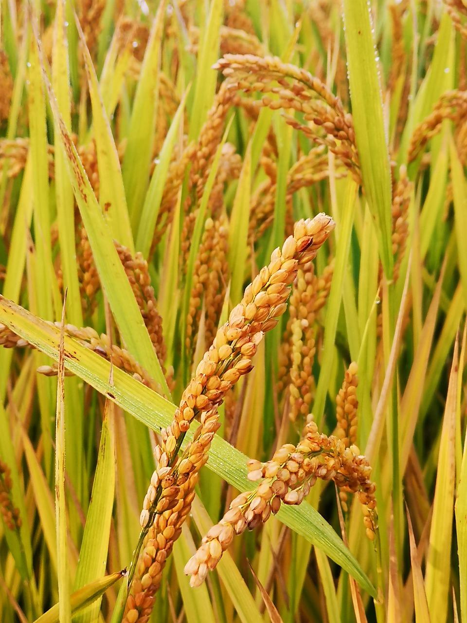 3. 舒适两室户型