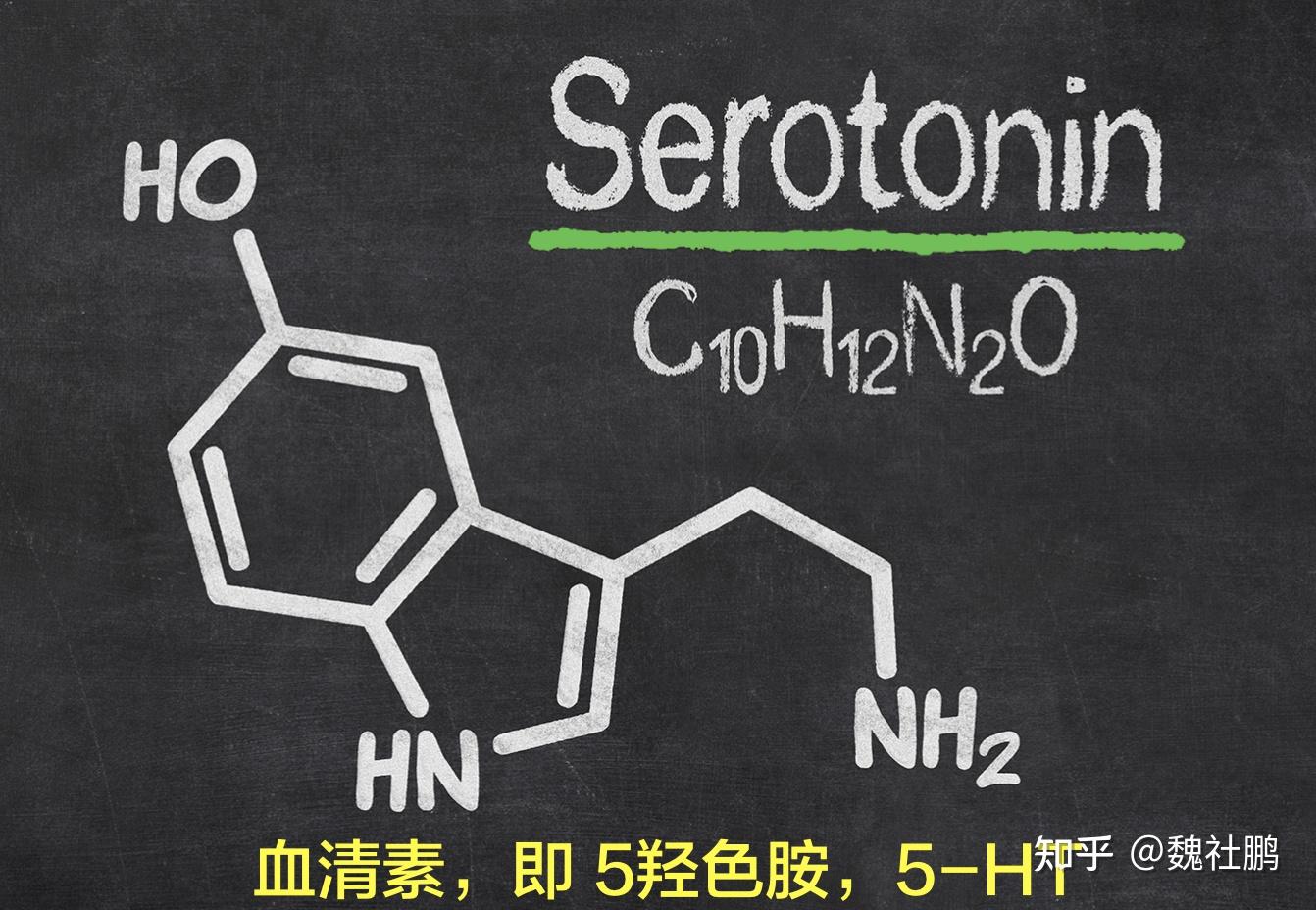 恶心骨密度低食欲不振,渴望高糖,和高脂肪食物睡眠模式中断血清素缺乏