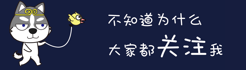 你见过拉不拉猪么? - 知乎