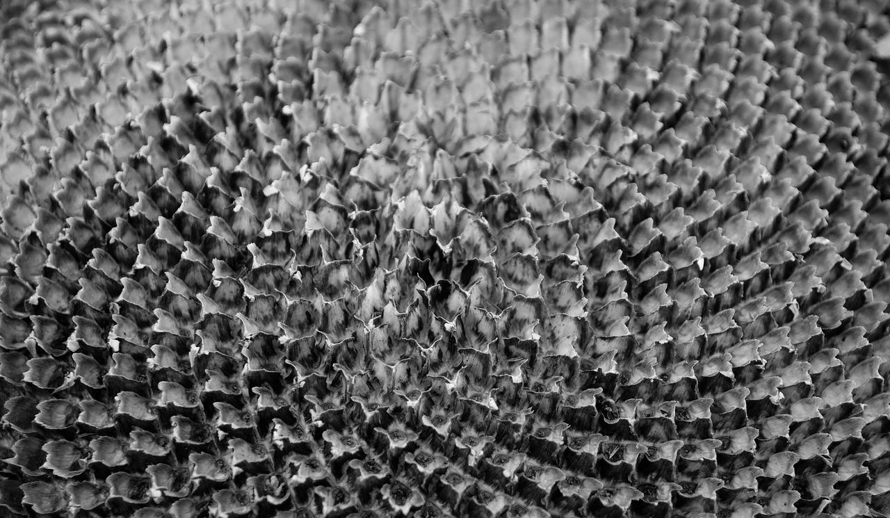 肌理墙面效果展示