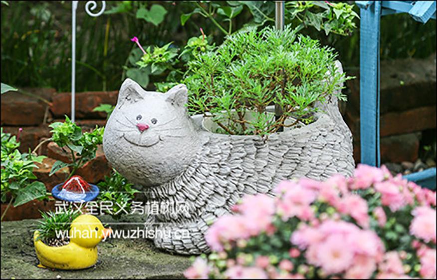 花园家庭 闲看庭前花开花落 感叹生命的美好 知乎