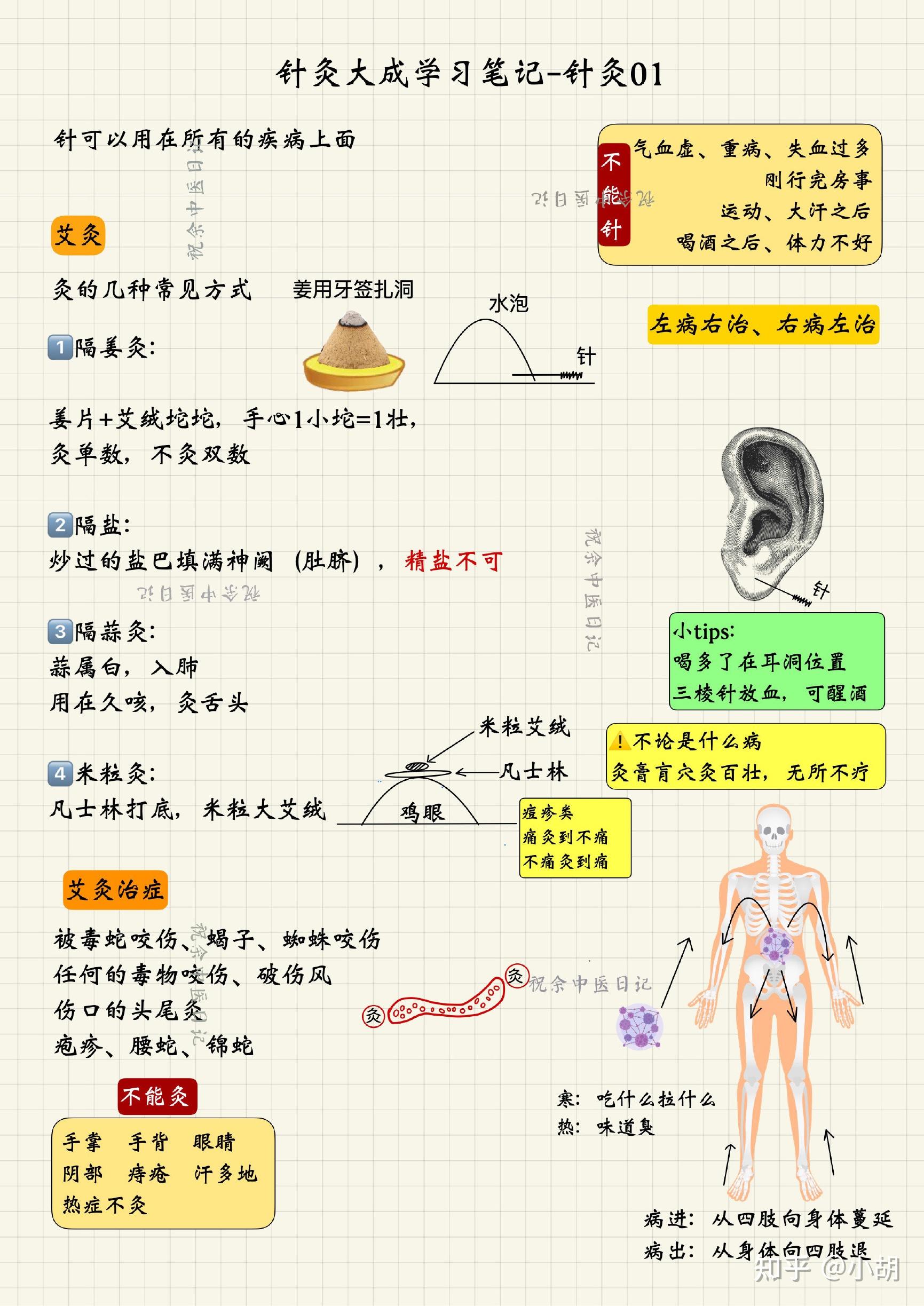 七,黄帝时代九针:型式