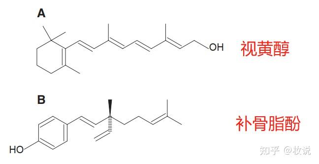 補骨脂酚會成為下一個抗衰成分風口嗎