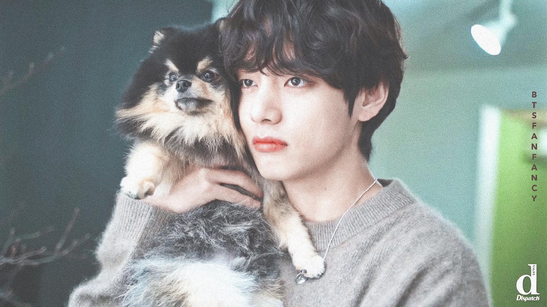 超级喜欢黑发金泰亨大家可以分享一些没有水印的图片吗收藏