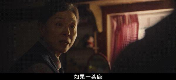 《未知的首尔》互换人生,年度最佳韩剧预定