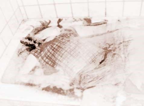 香港十大奇案系列之四 19年空姐溶尸案 知乎