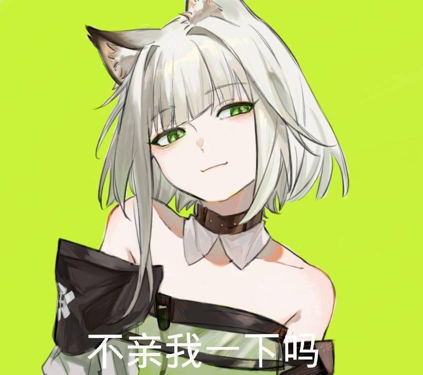 如何看待开新活动后nga对凯尔希文案的不满