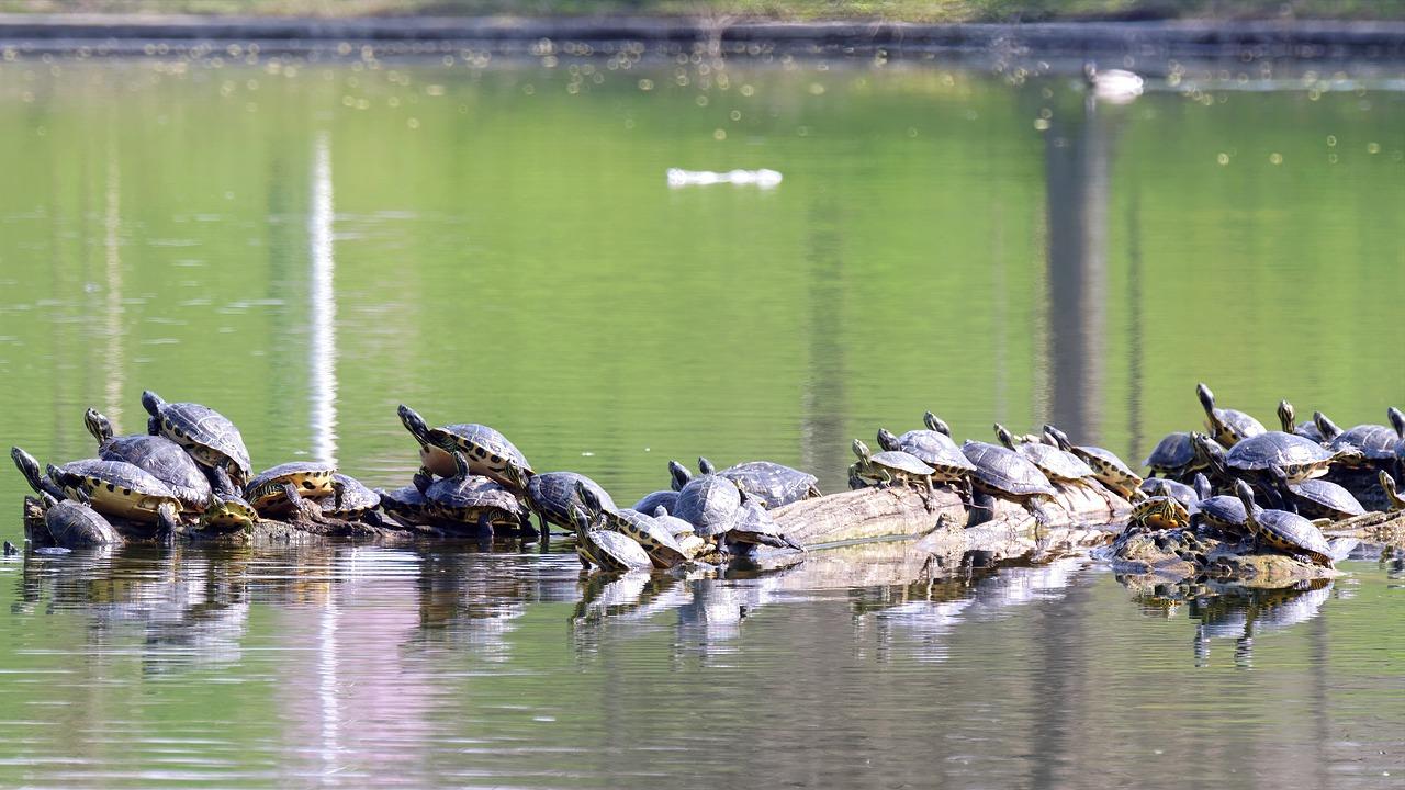 冬天怎么让手变暖和
