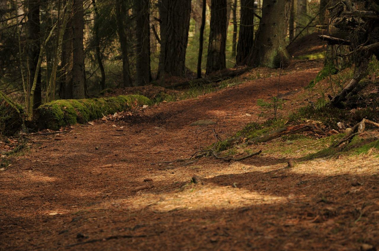 1. 布朗新风系统