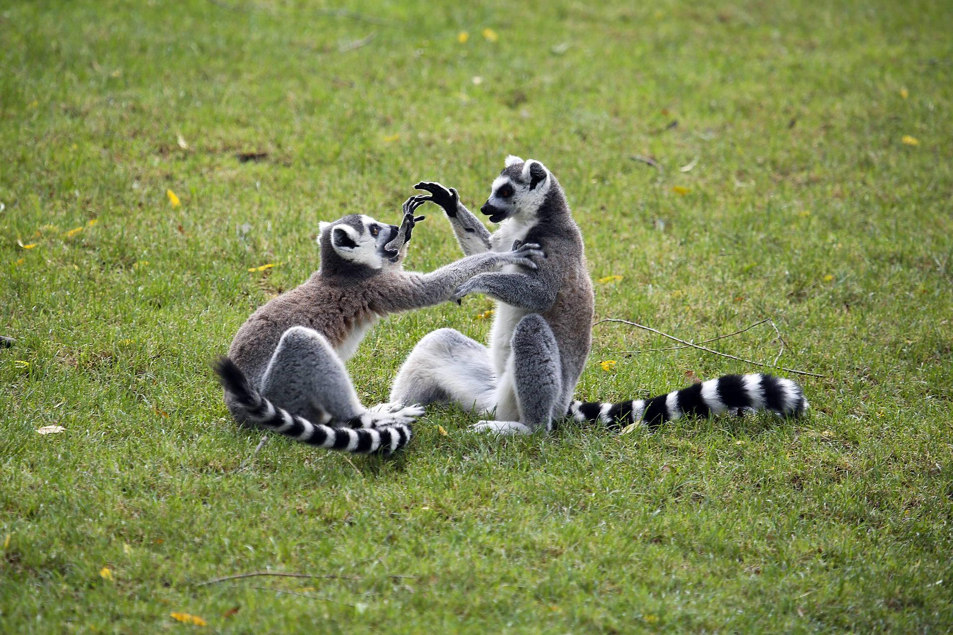 有一个很怕痒的男朋友女朋友是一种什么样的体验