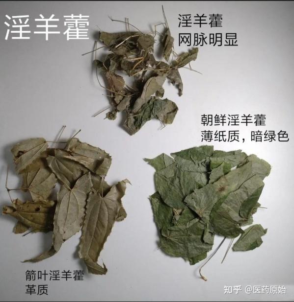 带你识别淫羊藿